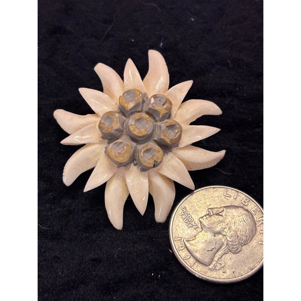 Vintage Celluloid Edelweiss Flower Brooch Alpine Mountain White Gray Pin